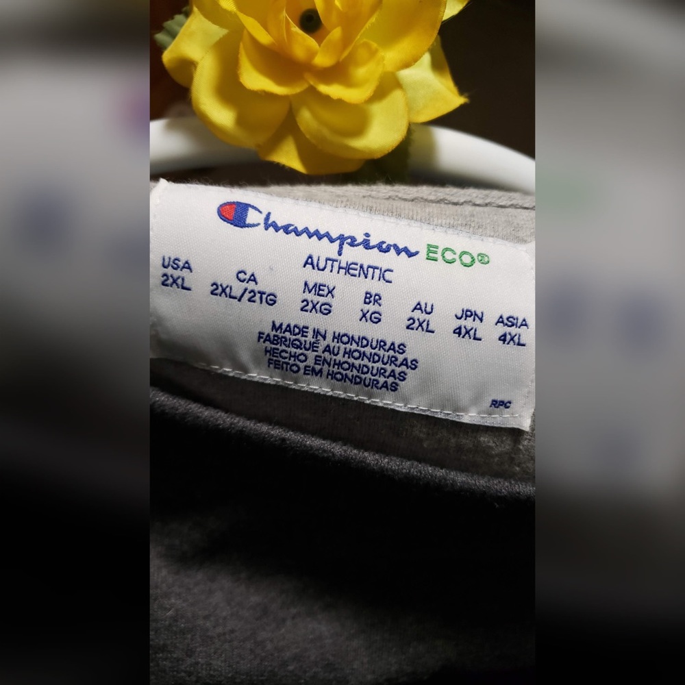 Gray Champion Crew Neck Pullover - image 4